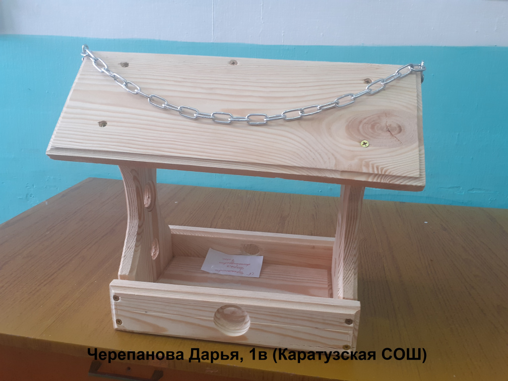 Черепанова Дарья, 1в (Каратузская СОШ).jpg