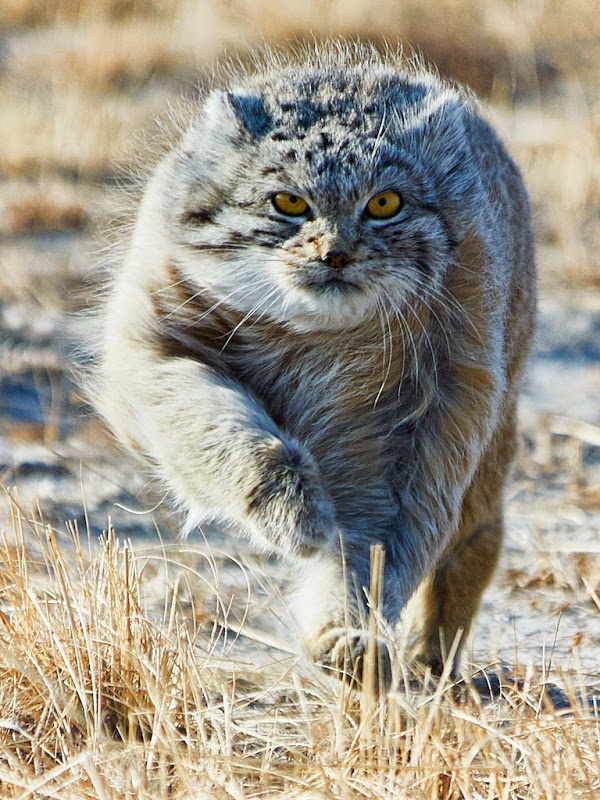 DSC_1743.jpg